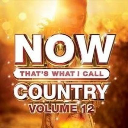 Now That's What I Call Country Vol.12 - CD Audio