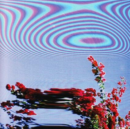 Inflorescent - Vinile LP di Friendly Fires