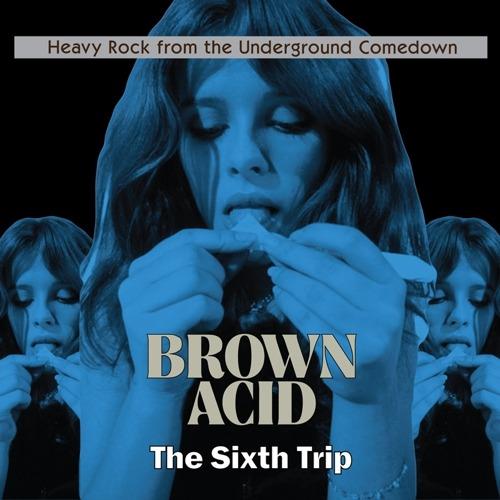 Brown Acid. The Sixth Trip - Vinile LP