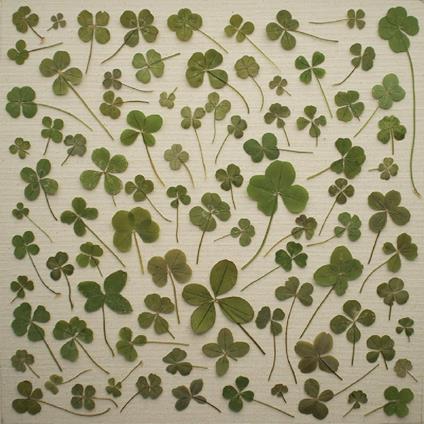 Turned Over to Dreams - CD Audio di Daniel Martin Moore