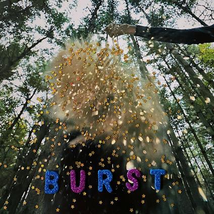 Burst - CD Audio di Snarls