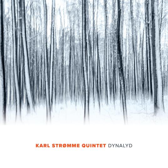 Dynalyd - CD Audio di Karl Stromme
