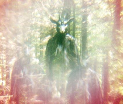 Black Goat of the Woods - Vinile LP di Black Mountain Trans
