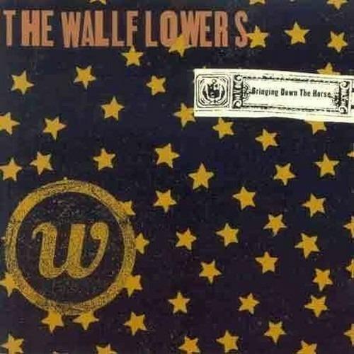 Bringing Down the Horse - CD Audio di Wallflowers
