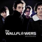 Red Letter Days - CD Audio di Wallflowers