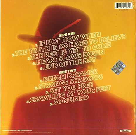 Karma for Cheap - Vinile LP di Aaron Lee Tasjan - 2