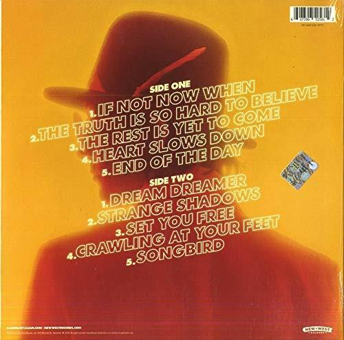 Karma for Cheap - Vinile LP di Aaron Lee Tasjan - 2