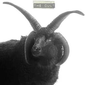 Vinile The Cult (White Ivory Vinyl) Cult