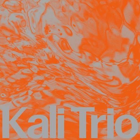 The Playful Abstract - Vinile LP di Kali Trio