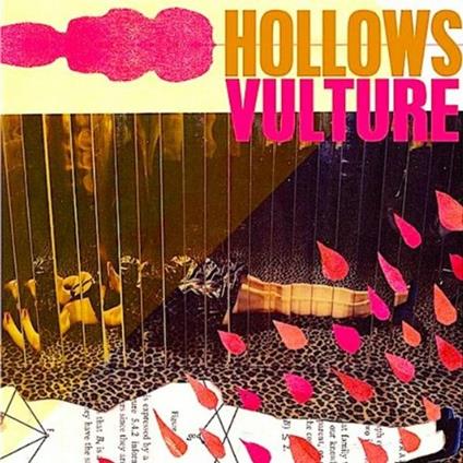 Vulture - CD Audio di Hollows