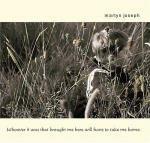 Whoever it Was That Brought Me Here Will Have to Take Me Home - CD Audio di Martyn Joseph