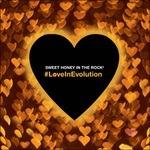 Loveinevolution - CD Audio di Sweet Honey in the Rock