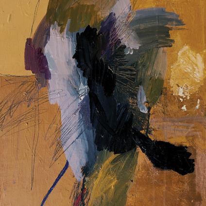 Sky Coffin - Vinile LP di Dowsing