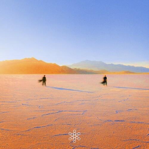 Insight Out - Vinile LP di Praana