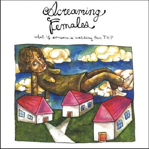 What If Someone Is Watching Their Tv? - CD Audio di Screaming Females