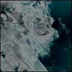 III - CD Audio di Bosse De Nage