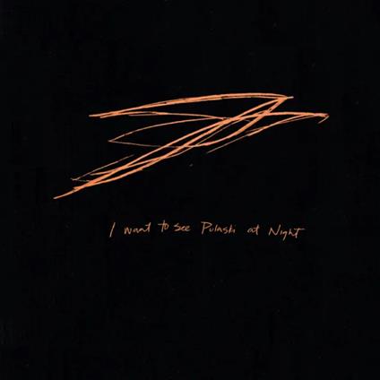 I Want To See Pulaski At Night - CD Audio di Andrew Bird