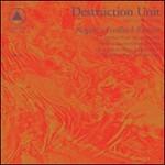 Negative Feedback Resistor - Vinile LP di Destruction Unit