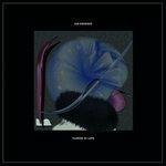 Flower of Love - Vinile LP di Ian Drennan