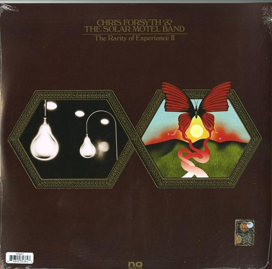 Rarity of Experience - Vinile LP di Chris Forsyth,Solar Motel Band - 2