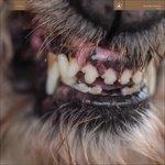 World Eater - Vinile LP di Blanck Mass