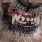 World Eater - CD Audio di Blanck Mass