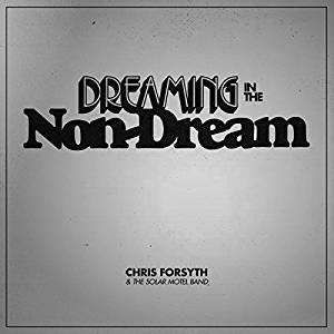 Dreaming in the Non-Dream - Vinile LP di Chris Forsyth,Solar Motel Band