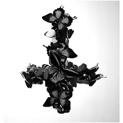 Never Forever - CD Audio di Monarch