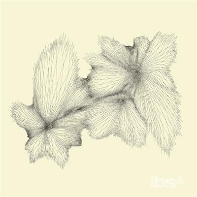 Plainlight (Limited Edition) - Vinile LP di Eyvind Kang