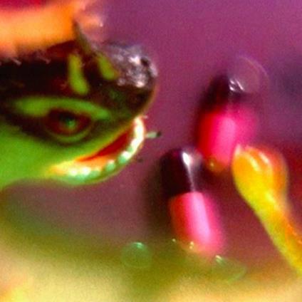 Take the Fall - CD Audio di Bush Tetras