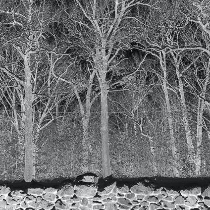 Sunshine And Balance Beams (Transparent Edition) - Vinile LP di Pile