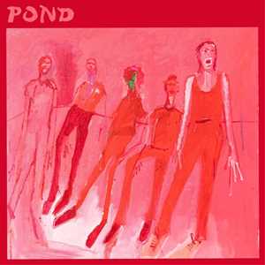 CD Terrestrials Pond