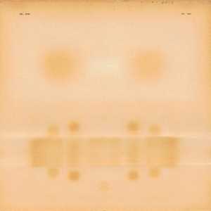 CD Dr. Dog Dr. Dog