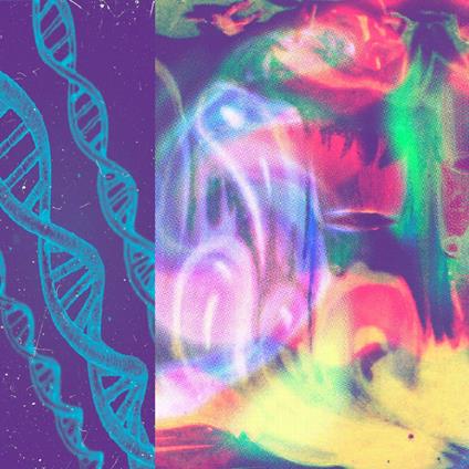 Neon Gate - Vinile LP di Nap Eyes