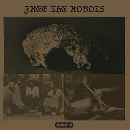 Datu - Vinile LP di Free the Robots