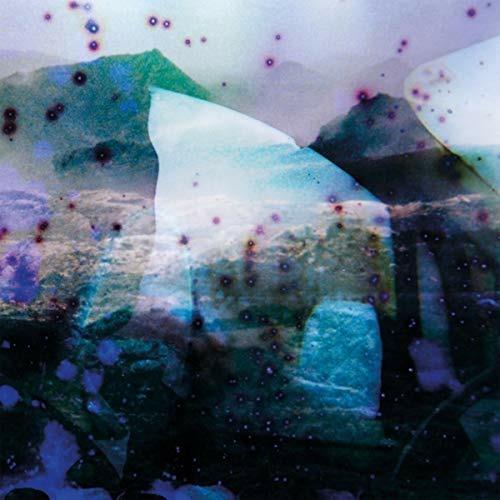Igitur Carbon Copies (feat. David Tibet) - Vinile LP di Reinier Van Houdt