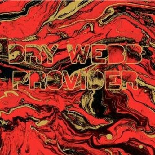 Provider - CD Audio di Bry Webb