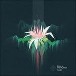 Awake - Vinile LP di Folly & the Hunter