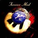 Forever Mod- Portrait Of A Storyteller- A Tribute To Rod Stewart - CD Audio