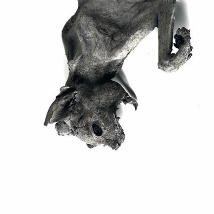 Metempshychosis - CD Audio di Nordvargr
