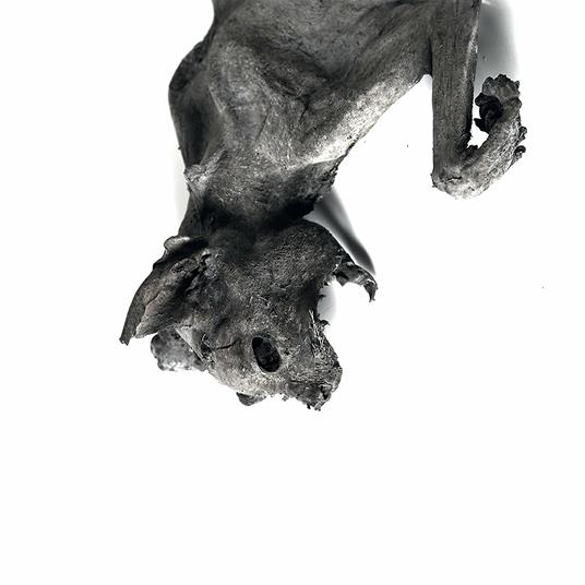 Metempshychosis - CD Audio di Nordvargr