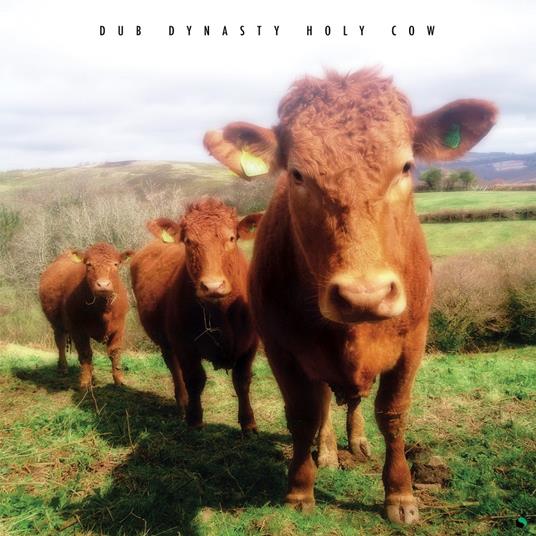 Holy Cow - Vinile LP di Dub Dynasty