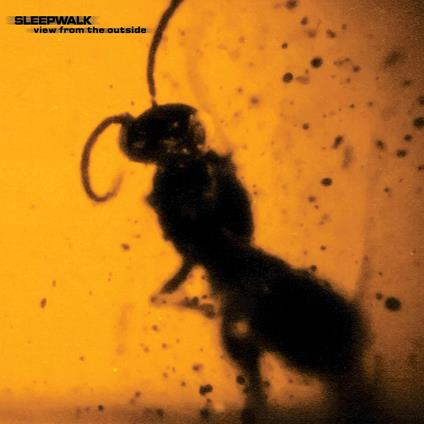 View From The Outside - Vinile LP di Sleepwalk