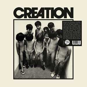 Vinile Creation Creation