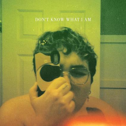 Don't Know What I Am (Pink Yellow Vinyl) - Vinile LP di Alien Boy