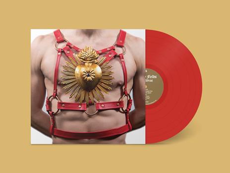 Limp Wrist - Vinile LP di Paisley Fields - 2