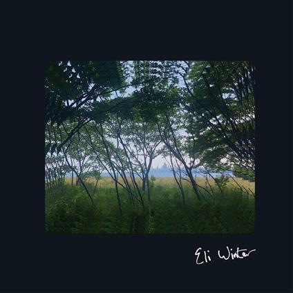 Eli Winter - Vinile LP di Eli Winter