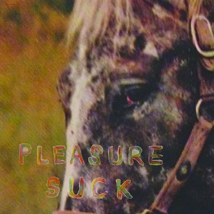 Pleasure Suck (Clear Orange Vinyl) - Vinile LP di Spirit of the Beehive