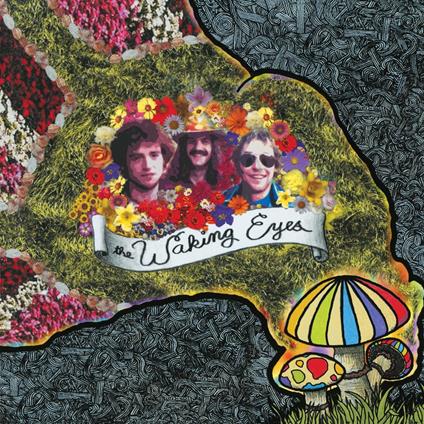 Combing The Cloud - Vinile LP di Waking Eyes