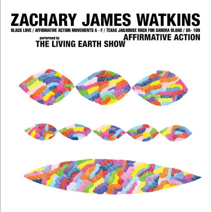 Affirmative Action - Vinile LP di Zachary James Watkins